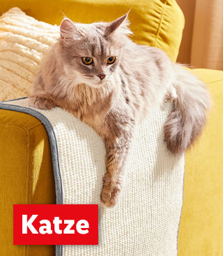 Katze | Ab Montag, 13.1.