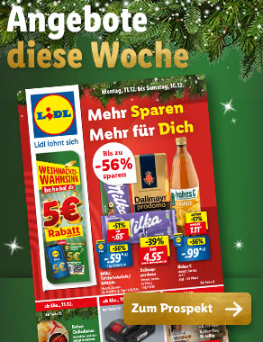 Angebotsprospekt