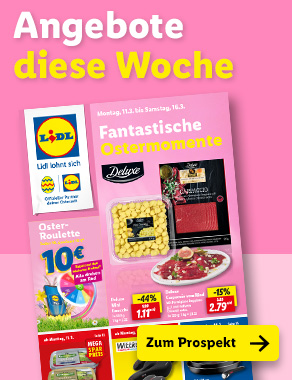 Angebotsprospekt