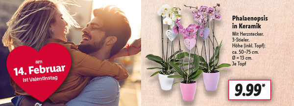 Valentinstag | Ab Do., 8.2.