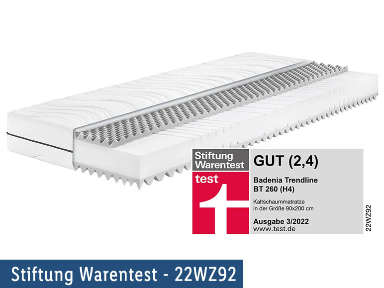 BADENIA TRENDLINE 7-Zonen-Kaltschaummatratze »BT 260«, mit Noppenauflage, 22 cm Höhe