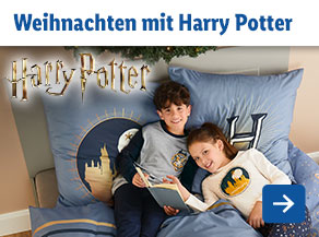 Weihnachten mit Harry Potter
