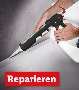 Reparieren | Ab Montag, 20.1.