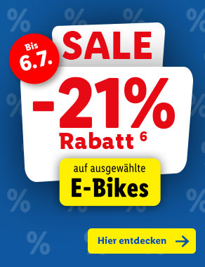 SALE: E-Bikes