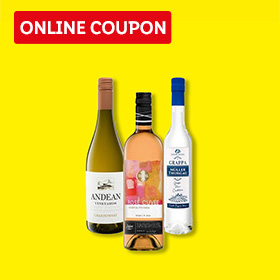 Onlineshop Coupon