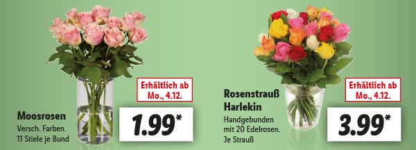 Pflanzen | Ab Montag, 4.12.