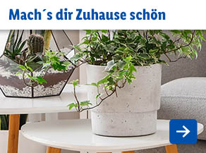 Mach´s dir Zuhause schön - Einrichtung für unter 50 €
