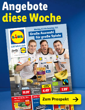 Angebotsprospekt