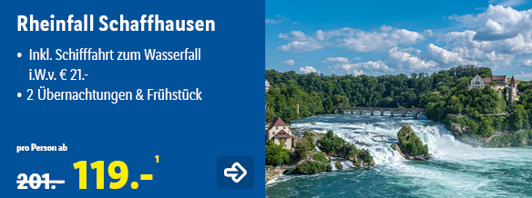 Rheinfall Schaffhausen, p.P. ab 119€