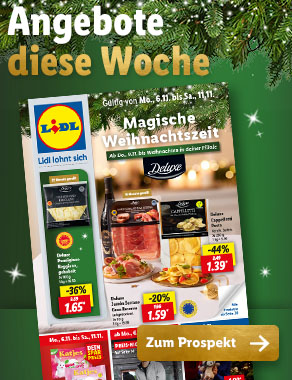 Angebotsprospekt