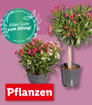 Pflanzen | Ab Montag, 29.4.
