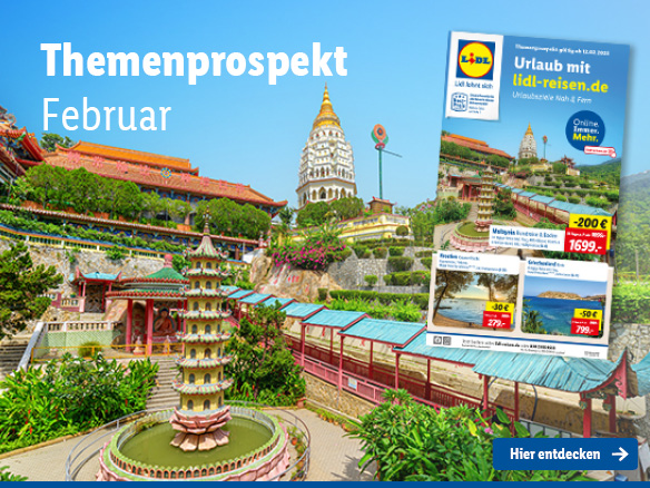 Themenflyer Februar 2025