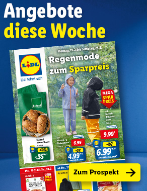 Angebotsprospekt