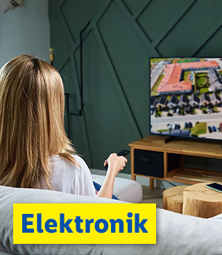 Elektronik