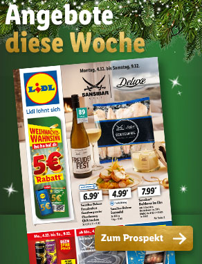 Angebotsprospekt
