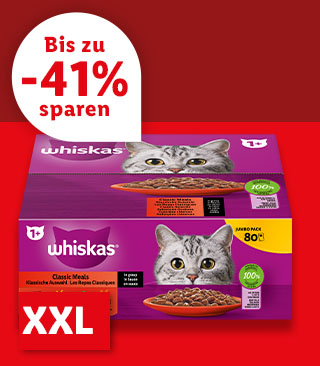 XXL | Ab Montag, 9.9.