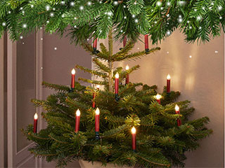 Weihnachtsdeko | Ab Donnerstag, 9.11.