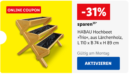 Online Coupon