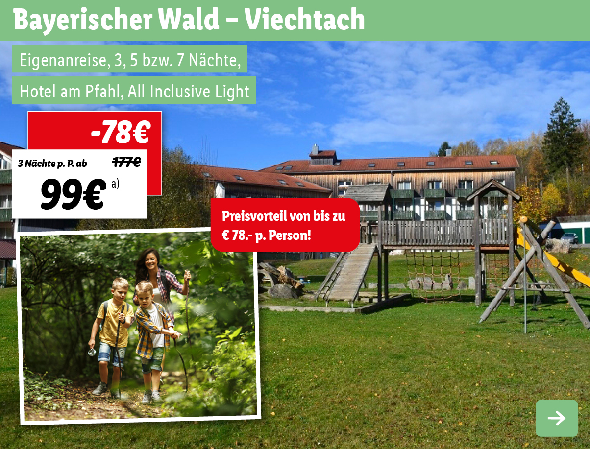 Bayerischer Wald - Viechtach - Hotel am Pfahl