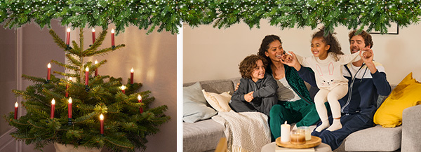 Weihnachtsdeko | Ab Montag, 13.11.