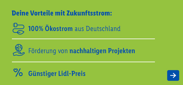 Vorteile von Zukunftsstrom: 100% Ökostrom aus Deutschland, Förderung nachhaltiger Projekte und günstiger Lidl-Preis