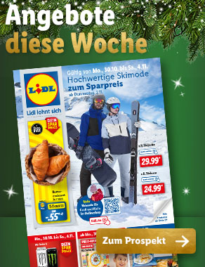 Angebotsprospekt
