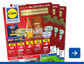 Angebotsprospekt aktuell