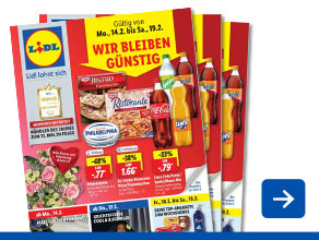 Angebotsprospekt aktuell