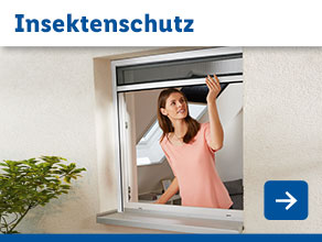 Insektenschutz