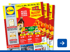Angebotsprospekt aktuell
