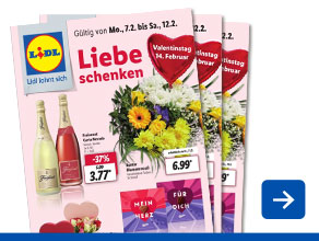 Angebotsprospekt aktuell