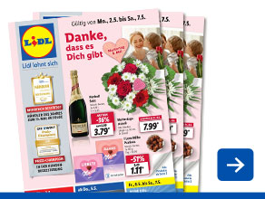 Angebotsprospekt aktuell