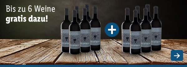 Wein: Aktion X+X