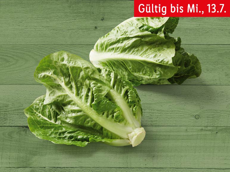 Deutscher Mini Romana Salat