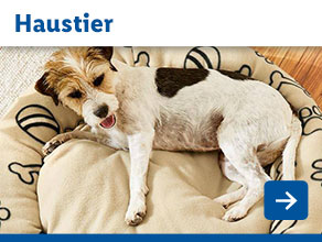 Haustier