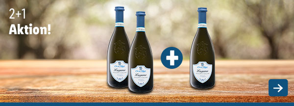 Wein 2+1 Aktion