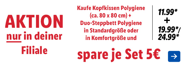 Aktion nur in deiner Filiale – Kaufe Kopfkissen Polygiene (ca. 80 x 80 cm) (11.99*) + Duo-Steppbett Polygiene in Standardgröße (19.99*) oder in Komfortgröße (24.99*) und spare je Set 5€