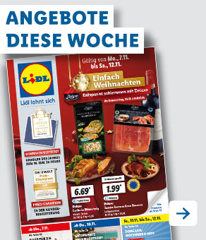 Angebotsprospekt