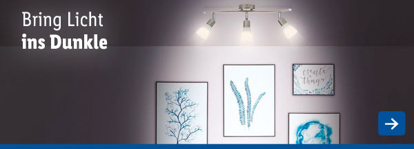 Lampen & Leuchtmittel