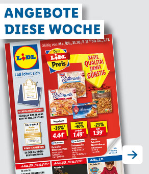 Angebotsprospekt