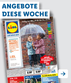Angebotsprospekt