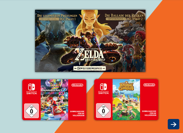 Nintendo Spiele