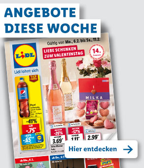 Angebotsprospekt