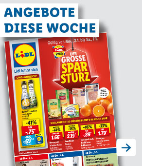 Angebotsprospekt