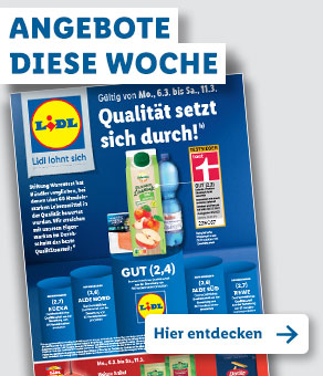 Angebotsprospekt