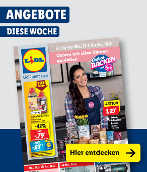 Angebotsprospekt