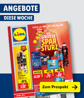 Angebotsprospekt