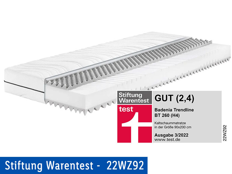 BADENIA TRENDLINE 7-Zonen-Kaltschaummatratze »BT 260«, mit Noppenauflage, 22 cm Höhe