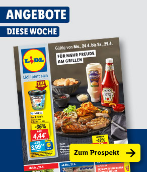 Angebotsprospekt