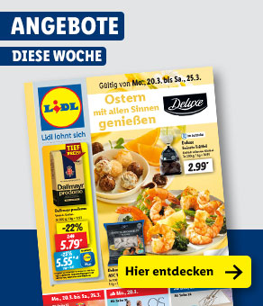 Angebotsprospekt